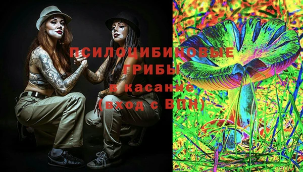 мескалин Лабытнанги